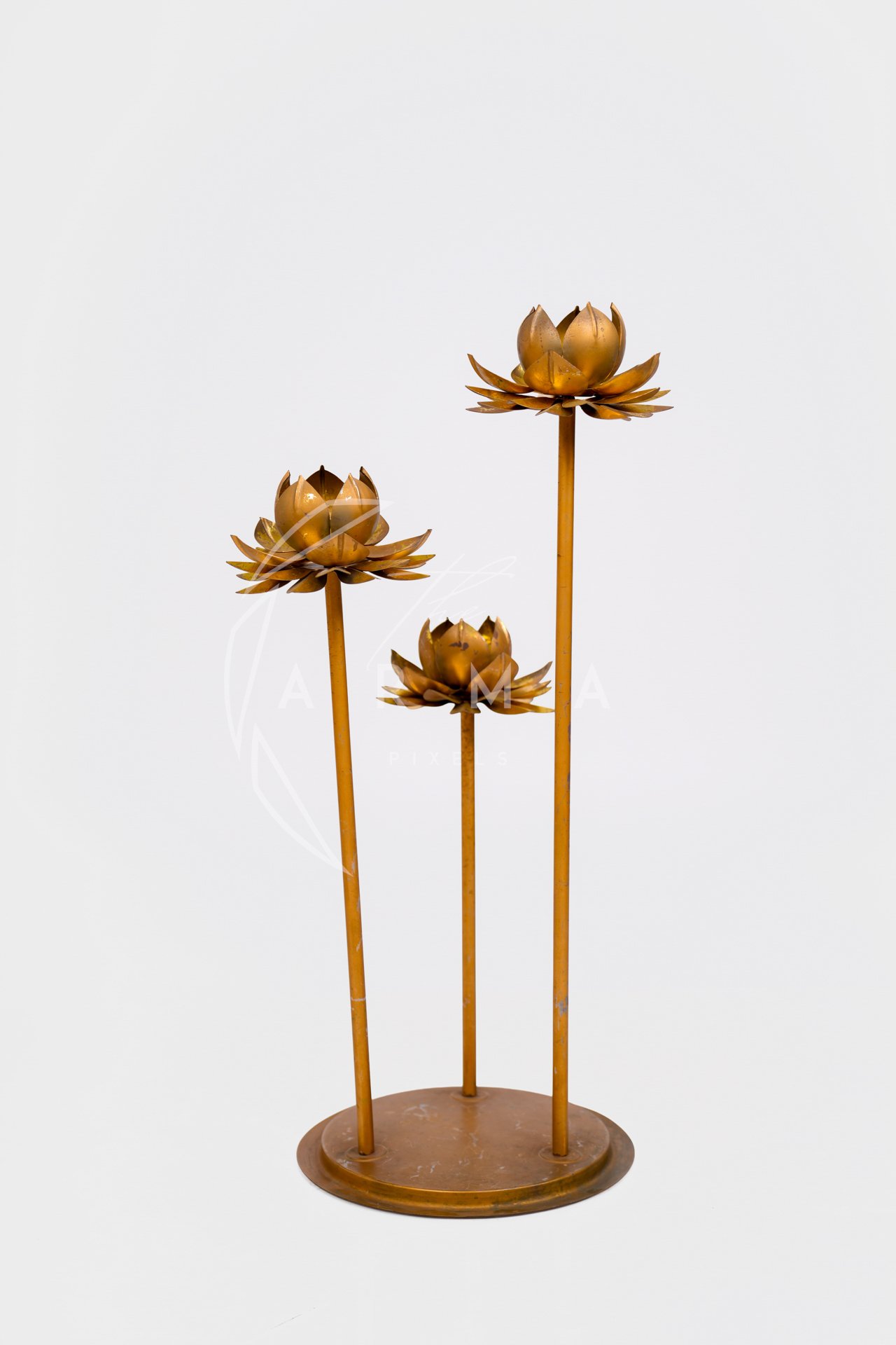 Product Shoot - _DSC3101-2