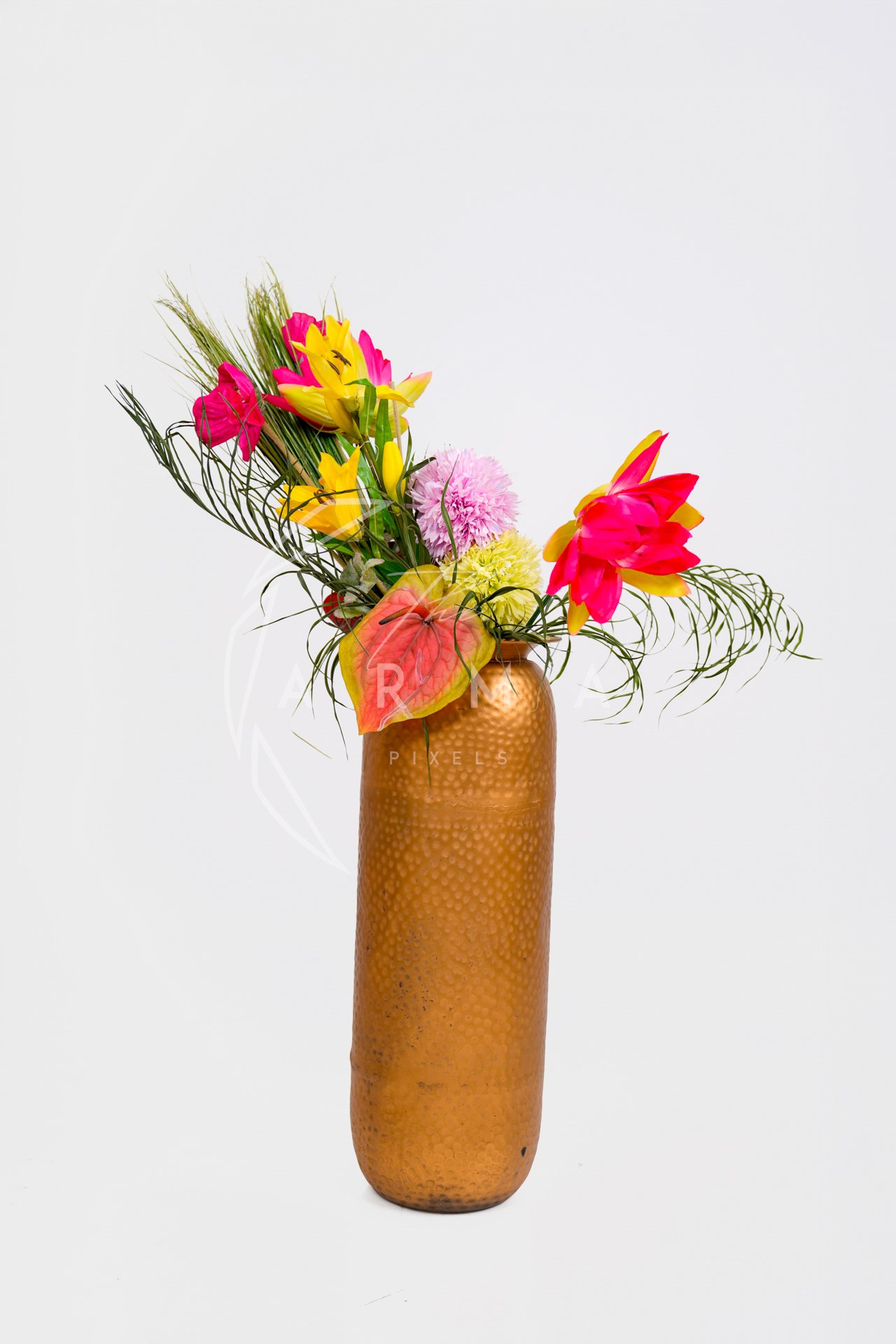 Product Shoot - _DSC3113-2